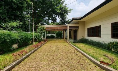 House For Rent with 4 Bedrooms, Pool and Big Garden, Location at Kuningan South Jakarta