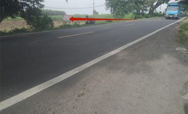 For Sale: 14,900 m² Roadside Land on Surabaya–Jogja Highway – Freehold Title, Ideal for Commercial Use