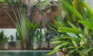 5 Bedroom Luxury Modern House in Tropical Compound in Cipete