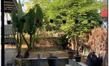 Dijual Rumah Luas Siap Huni di Jl Raya Citalang Kota Purwakarta