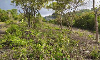 Tanah 11.200m² kawasan GWK ungasan badung bali
