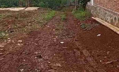 Tanah ploting kuning di batang cocok buat perumahan