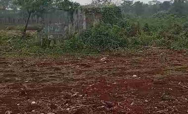 Tanah ploting kuning di batang cocok buat perumahan