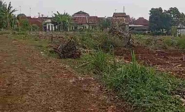 Tanah ploting kuning di batang cocok buat perumahan