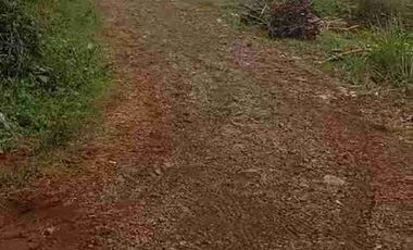 Tanah ploting kuning di batang cocok buat perumahan