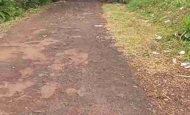 Tanah ploting kuning di batang cocok buat perumahan