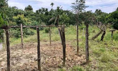 DIJUAL TANAH LUAS 1,3 HEKTAR KM 8 TRANSAD BALIKPAPAN