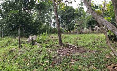 DIJUAL TANAH LUAS 1,3 HEKTAR KM 8 TRANSAD BALIKPAPAN