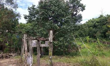 DIJUAL TANAH LUAS 1,3 HEKTAR KM 8 TRANSAD BALIKPAPAN