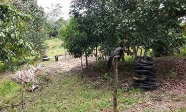 DIJUAL TANAH LUAS 1,3 HEKTAR KM 8 TRANSAD BALIKPAPAN