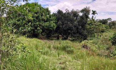 DIJUAL TANAH LUAS 1,3 HEKTAR KM 8 TRANSAD BALIKPAPAN