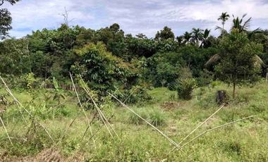 DIJUAL TANAH LUAS 1,3 HEKTAR KM 8 TRANSAD BALIKPAPAN