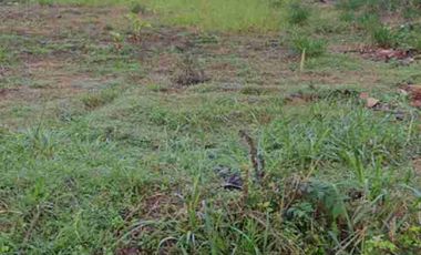 dijual tanah di Tangerang selatan