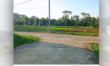 Tanah murah SHM Ready 150 dr jln Raya Unnes Ungaran