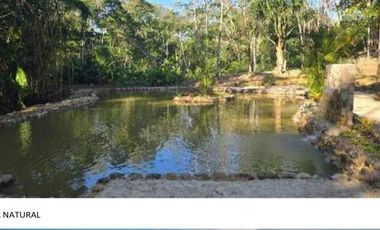 Precio de ocasión: Vendo Resort ecológico y muy rentable en la Amazonía Peruana - 14.6 Has - Dpto de San Martín.