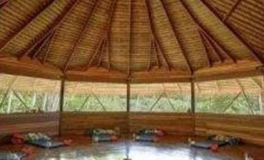 Precio de ocasión: Vendo Resort ecológico y muy rentable en la Amazonía Peruana - 14.6 Has - Dpto de San Martín.
