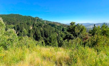 Venta Parcela en Laguna Pineda