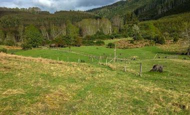 Terreno Excepcional  Panguipulli
