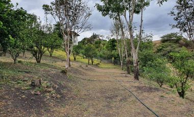 En Venta  Quinta en Yunguilla con 2 casas, piscina y árboles frutales