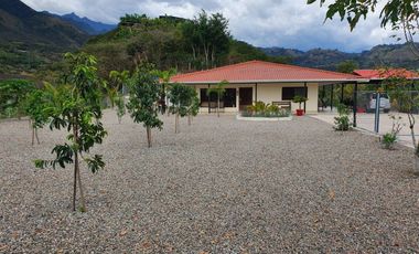 En Venta  Quinta en Yunguilla con 2 casas, piscina y árboles frutales