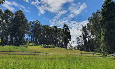 Hacienda En Venta en San Andres sector Ochoa León en Cuenca