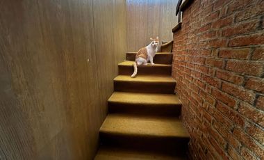 ¡Tu nuevo hogar te espera en San Pedro de la Paz!