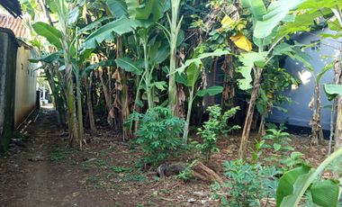 TANAH PEKARANGAN DI JL. WIRADADI SOKARAJA-BANYUMAS (42 UBIN/590M2)