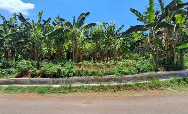 KAVLING MURAH PATEMON UNNES GUNUNGPATI