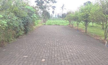 Tanah murah Saptorenggo Pakis Istana Bandara 7 Promo Akhir tahun 100 jt saja