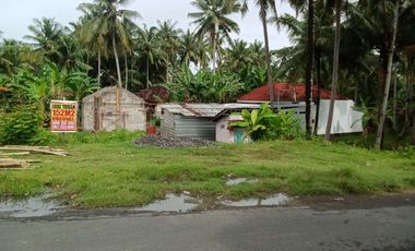 tanah mangku jalan di wates kulon progo yogyakarta