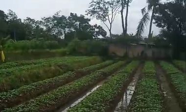 DiJual Tanah SHM 4684 M2 kawasan Villa Baros Serang (DISKON Rp 1,5 M)