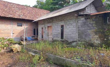 Dijual Murah Tanah Pekarangan Bonus Rumah jl. Cangkringan Sleman Yogyakarta
