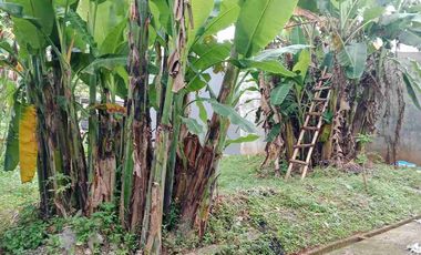Tanah 115 meter siap bangun dekat Pintu Toll Sawangan Depok