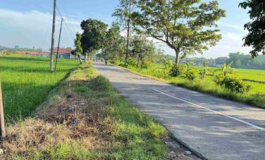 Tanah Kavling Dekat SMAN 1 Ketanggungan Brebes