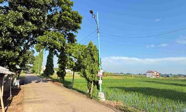Tanah Kavling Dekat SMAN 1 Ketanggungan Brebes
