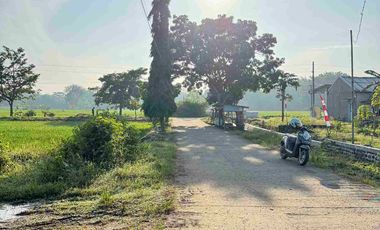Tanah Kavling Dekat SMAN 1 Ketanggungan Brebes