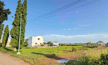Tanah Kavling Dekat SMAN 1 Ketanggungan Brebes