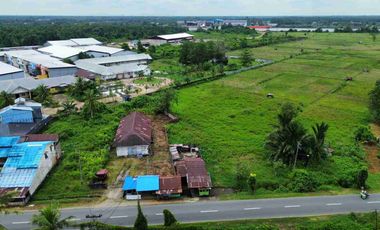 Tanah Adisucipto tepi jalan sampai sungai Kapuas