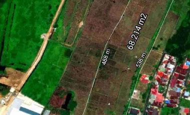 Tanah Adisucipto tepi jalan sampai sungai Kapuas