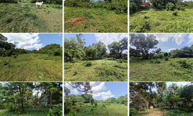 For Sale: Lot Area in Marymount Village, Laguna