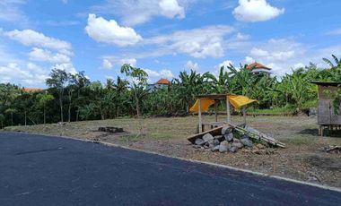 Jual Tanah 2 Are Dharma Giri Kota Gianyar Dekat Puspem Gianyar
