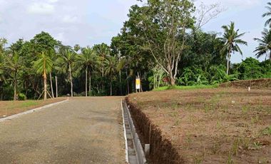 Tanah Cocok Untuk Villa Dekat Bali Mesari and Spa Sukawati