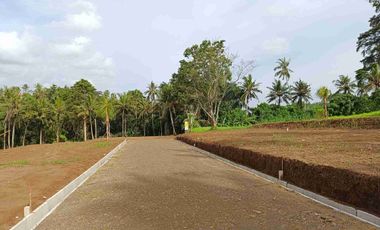 Tanah Cocok Untuk Villa Dekat Bali Mesari and Spa Sukawati