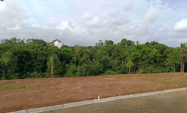 Tanah Cocok Untuk Villa Dekat Bali Mesari and Spa Sukawati