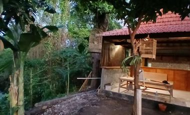 BRAND NEW HOUSE 2 BEDROOMS WITH RIVER VIEW IN KESIMAN - EAST DENPASAR