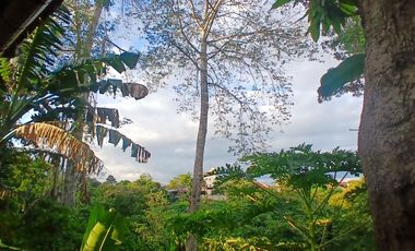 BRAND NEW HOUSE 2 BEDROOMS WITH RIVER VIEW IN KESIMAN - EAST DENPASAR