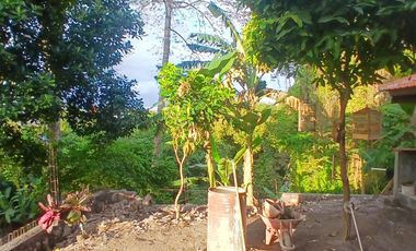 BRAND NEW HOUSE 2 BEDROOMS WITH RIVER VIEW IN KESIMAN - EAST DENPASAR