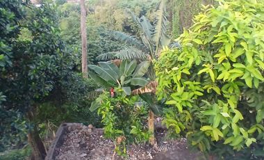 BRAND NEW HOUSE 2 BEDROOMS WITH RIVER VIEW IN KESIMAN - EAST DENPASAR