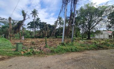 TAGBUROS LOT FOR SALE