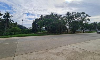 TAGBUROS LOT FOR SALE